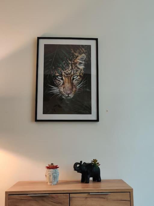 La Jungle Urbaine Avec Garage Prive & Climatisation Apartman Perpignan Kültér fotó