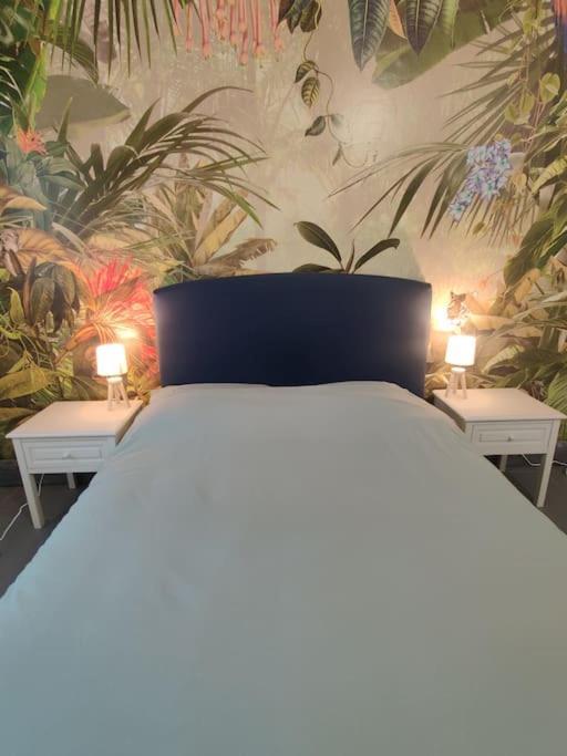 La Jungle Urbaine Avec Garage Prive & Climatisation Apartman Perpignan Kültér fotó