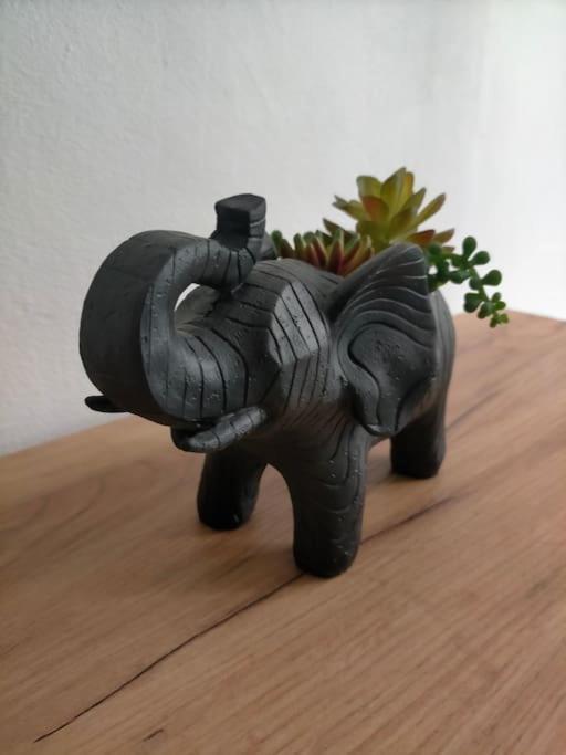 La Jungle Urbaine Avec Garage Prive & Climatisation Apartman Perpignan Kültér fotó